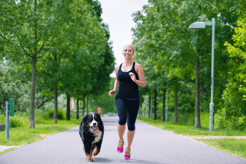 5. Fitness Partners