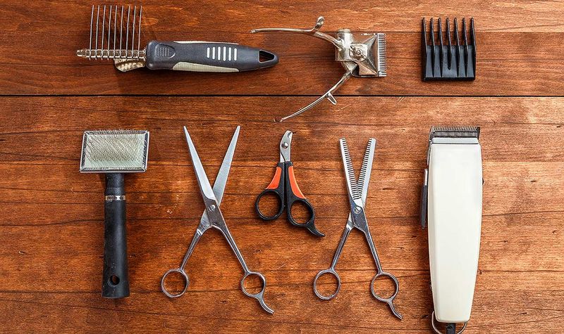 7. Grooming Needs