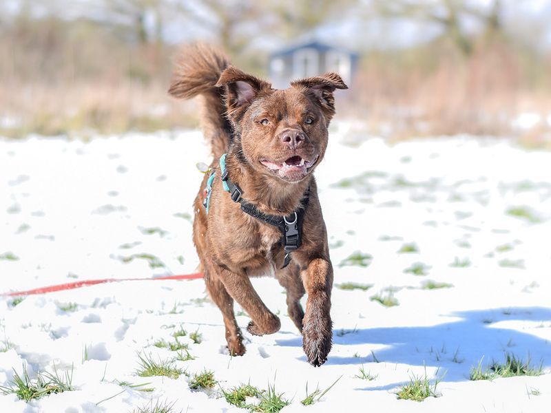 Exercise and Play