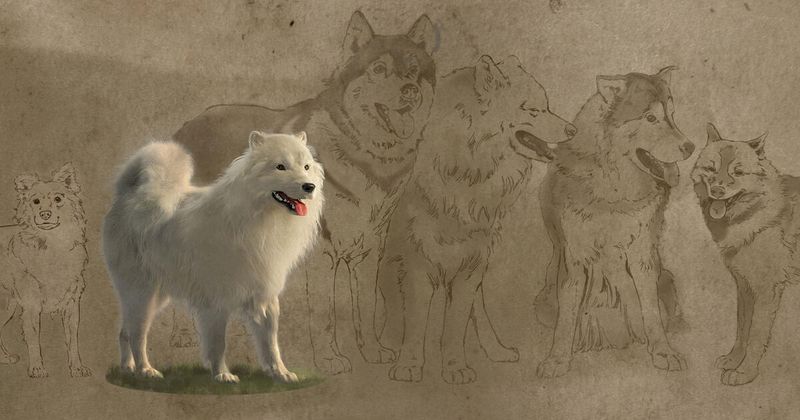 Breeding Practices