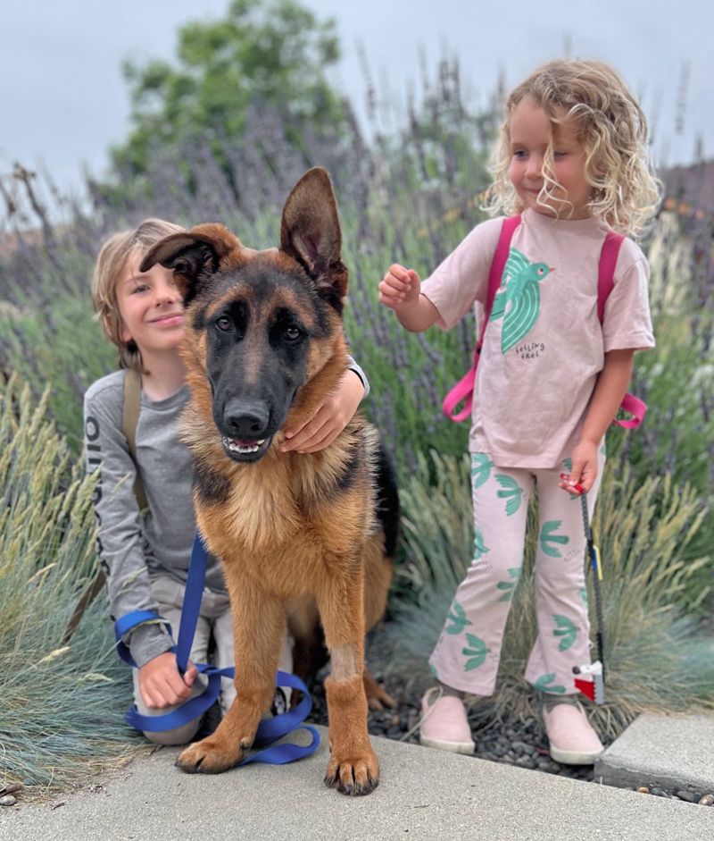 Gentle with Kids
