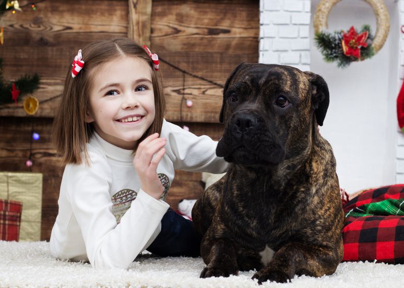 Gentle Giants with Children