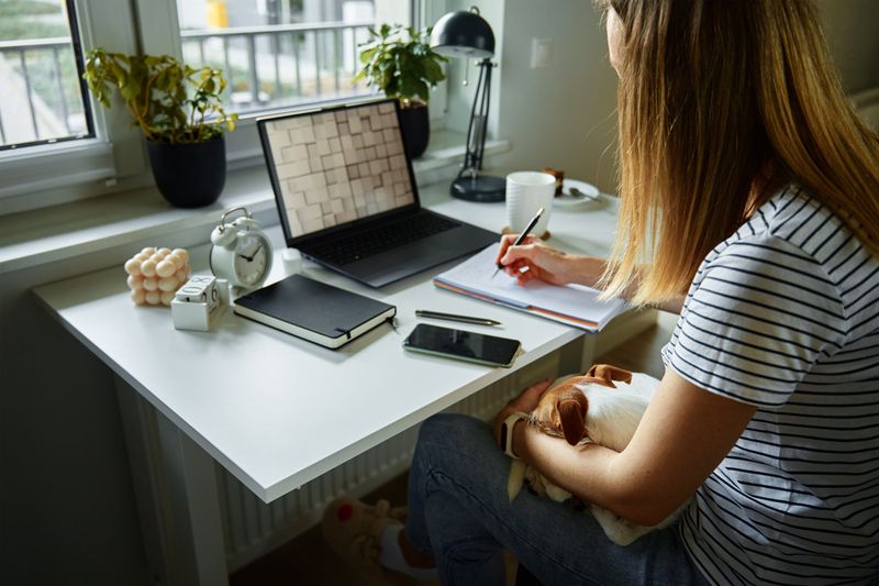 Balancing Work and Pet Care