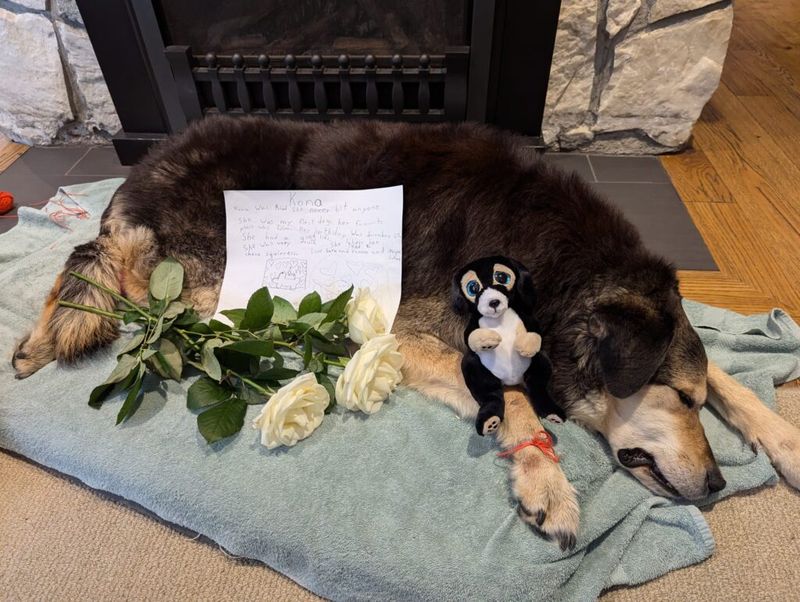 Host a Memorial Service