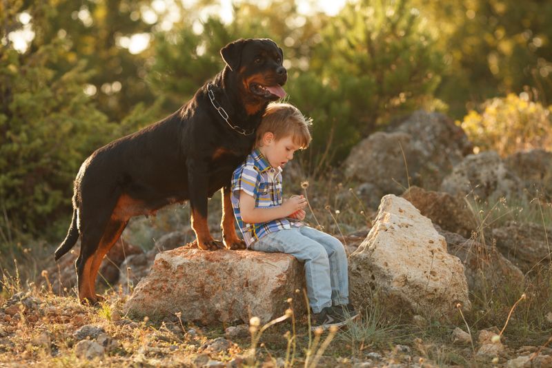 Fierce Loyalty