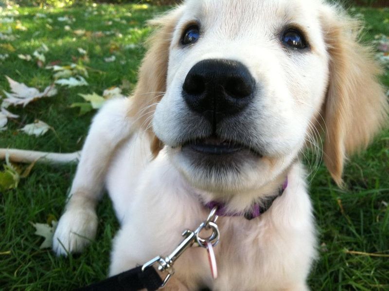 Bright Eyes
