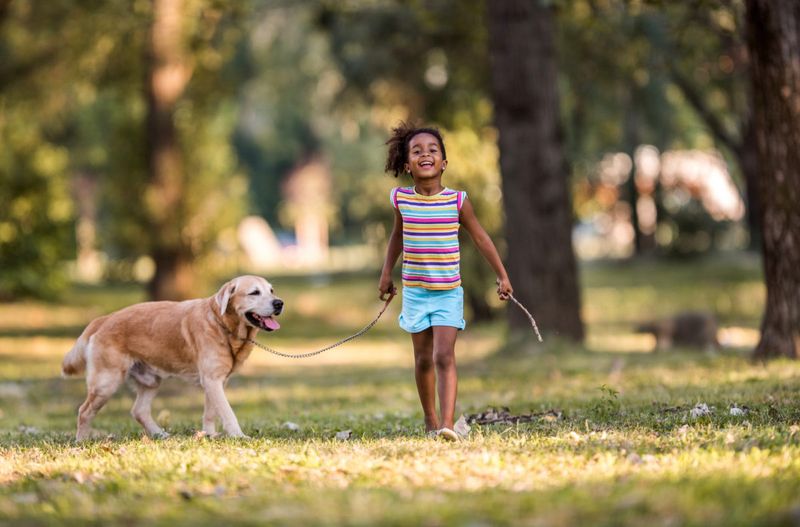 Mindful Walks