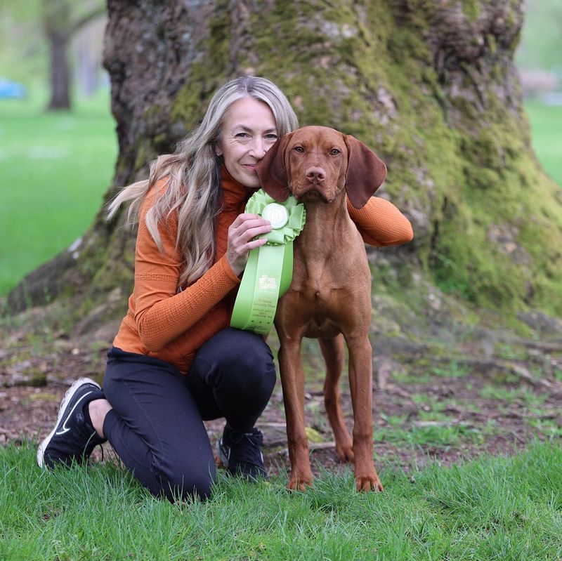 Vizsla