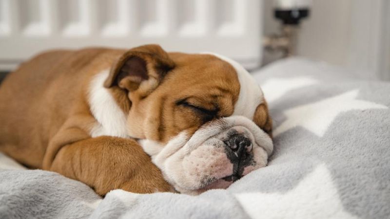 Good Sleep Patterns