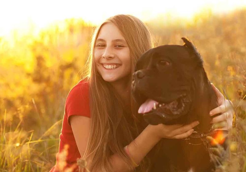 Loyal Family Companions