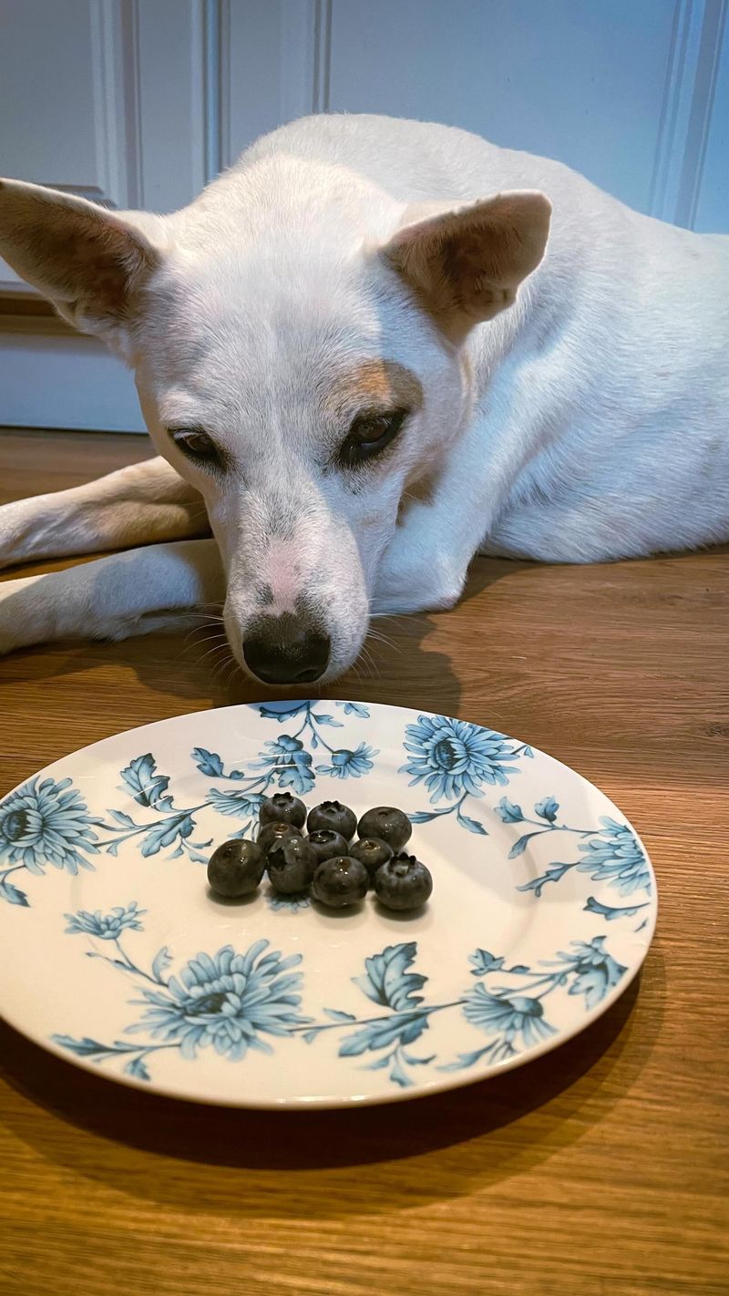 Blueberries