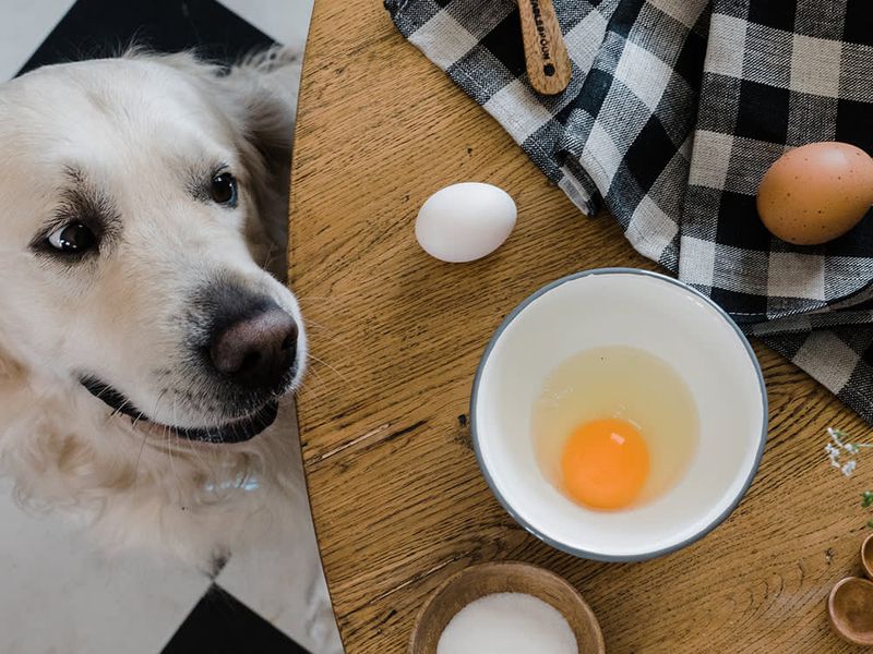 Eggs
