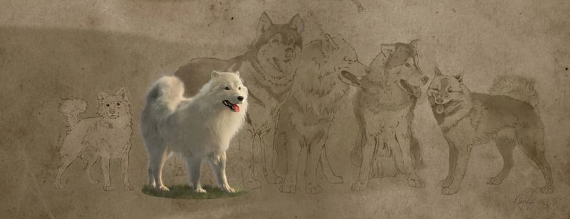 Legacy and Memory