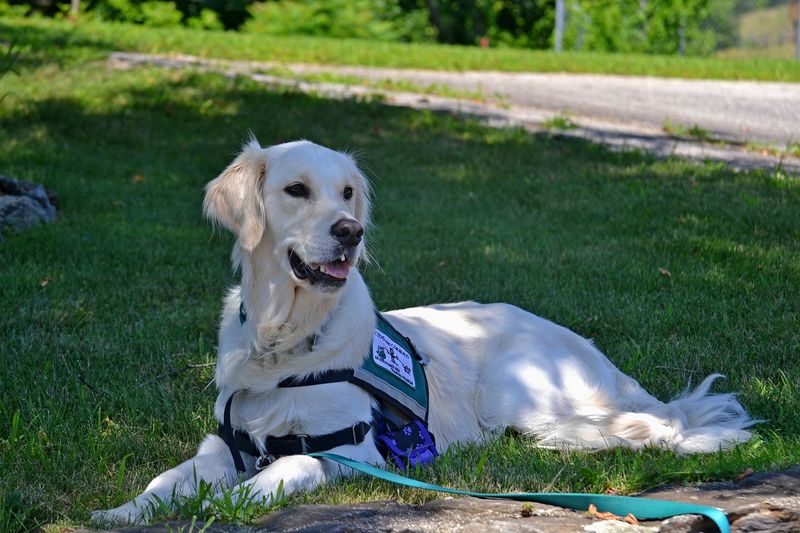 Sign 11: Fostering Independence