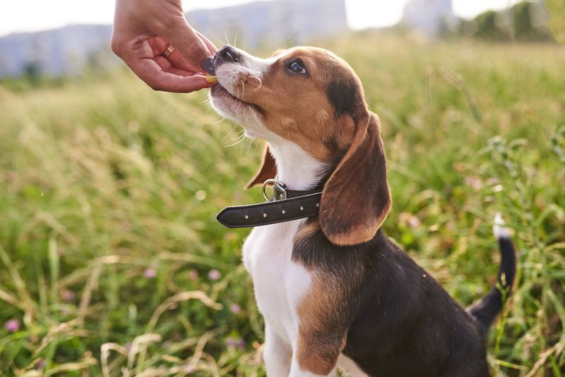 Sign 8: Positive Reinforcement