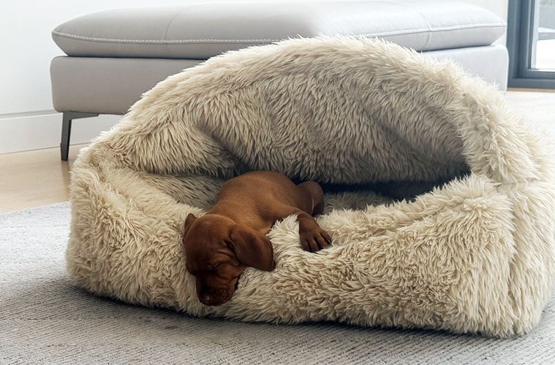 Sign 10: Providing Comfort