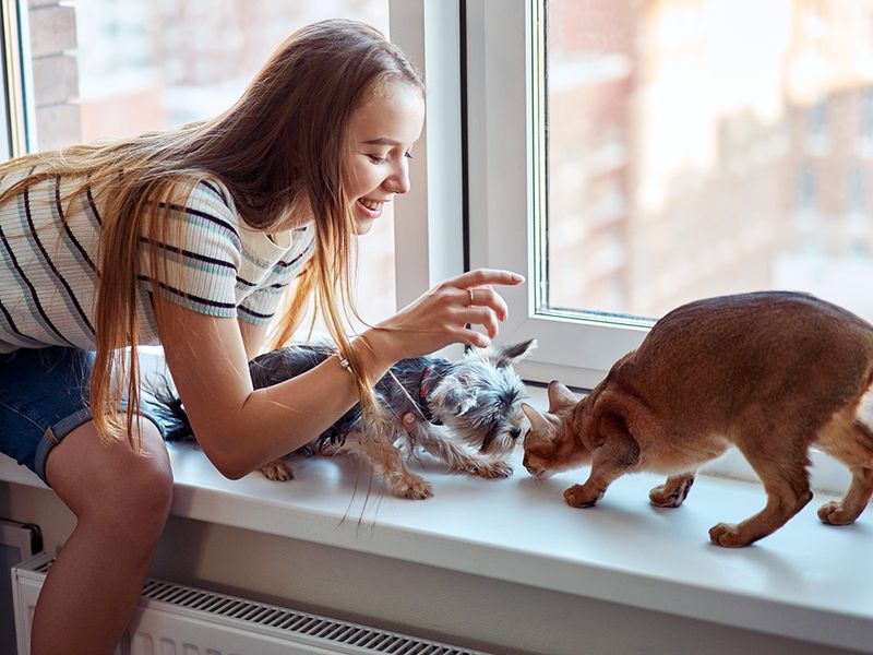 Introduce Other Household Pets