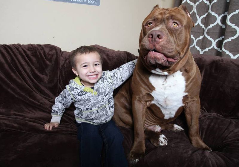 Gentle with Children