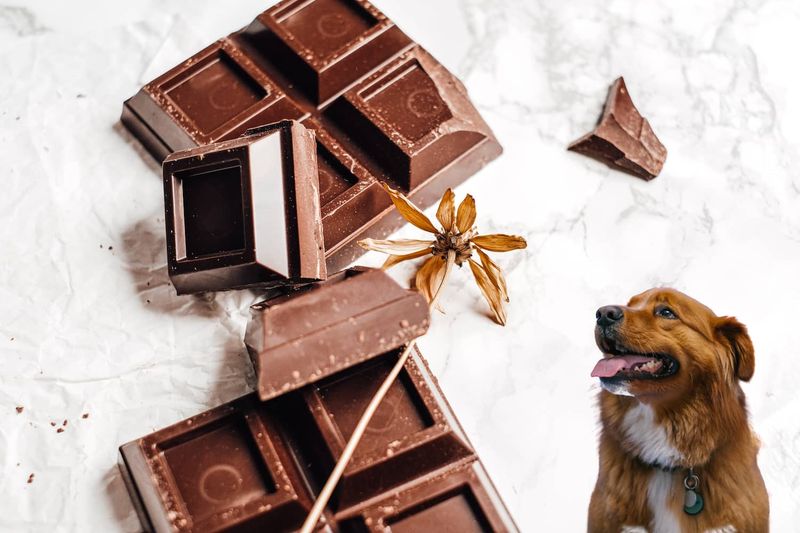 Chocolate