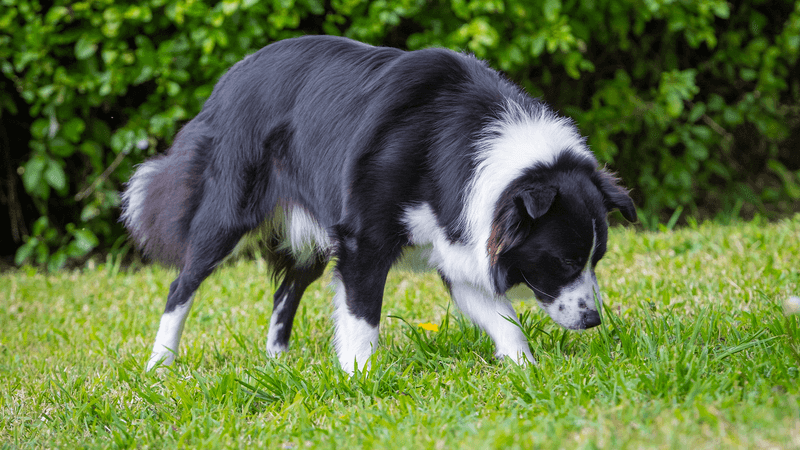 Hormonal Changes Detection