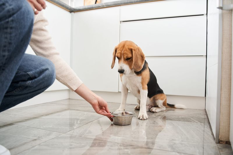 Lack of Interest in Regular Meals