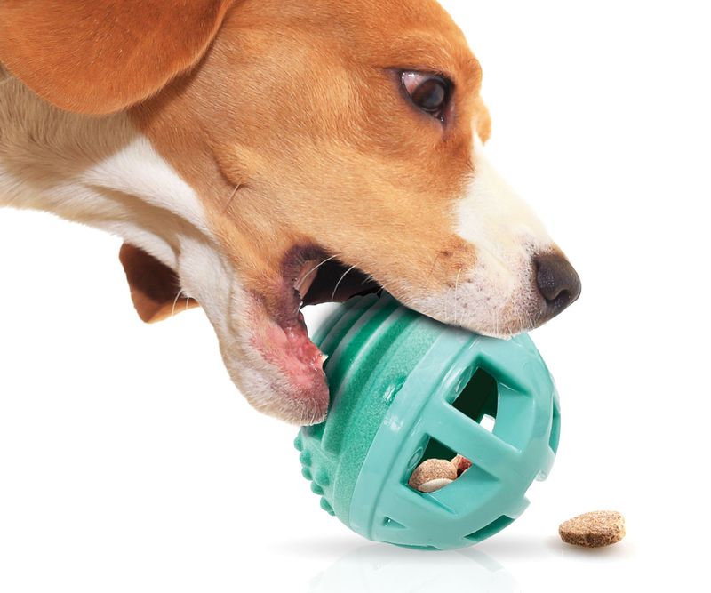 Treat Dispensing Toys
