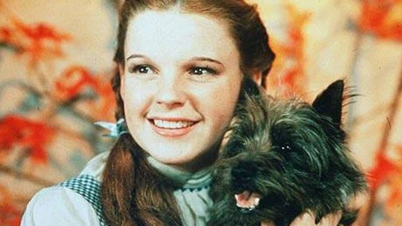 Toto