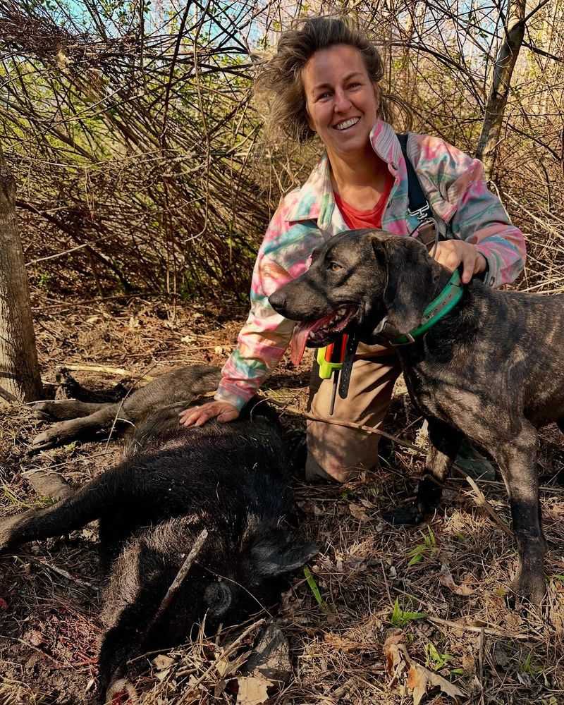 Plott Hound