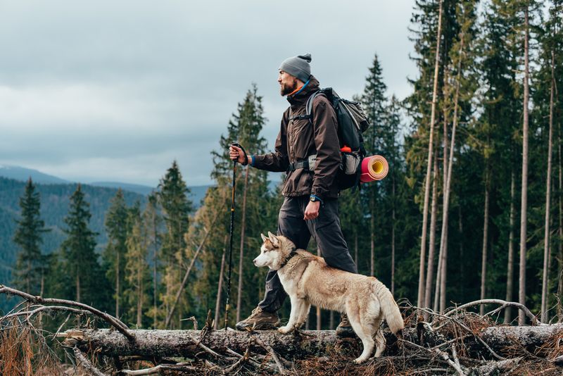 Hiking Adventure