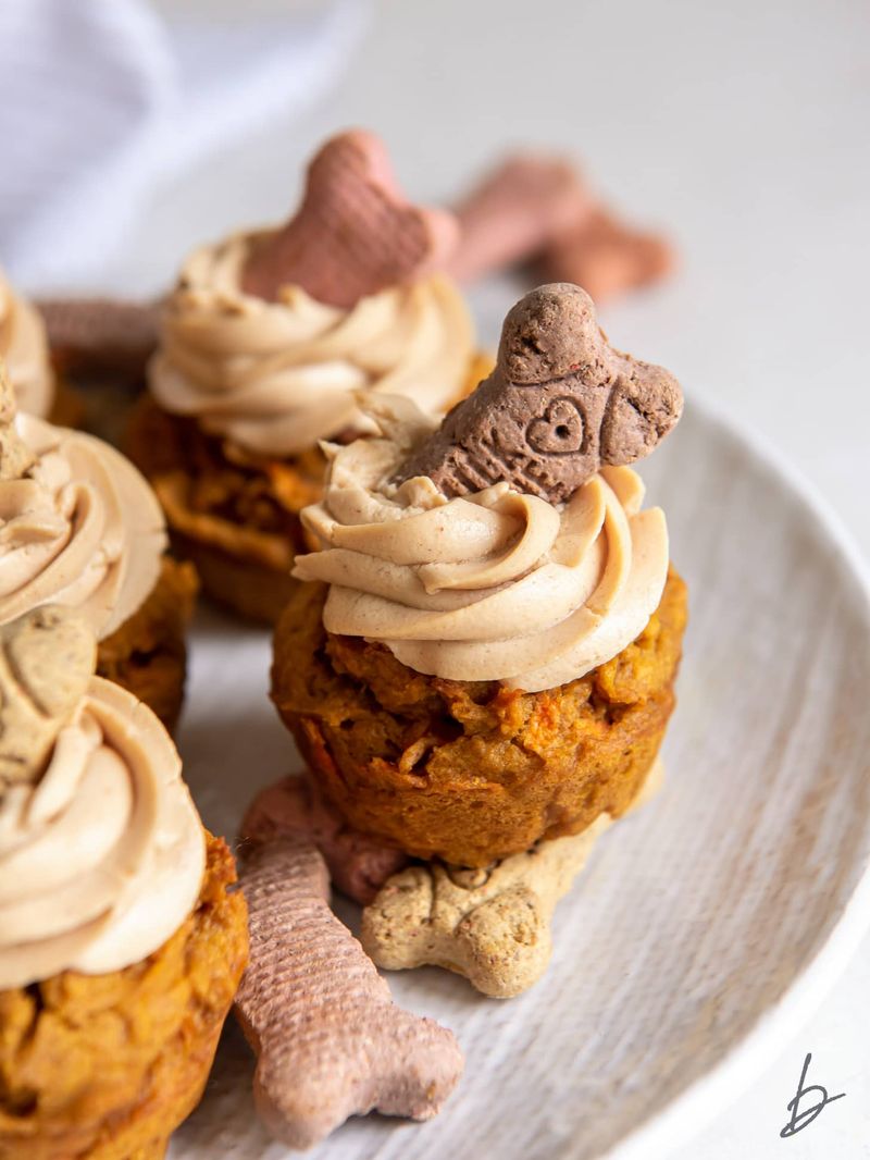 Pumpkin Apple Pupcakes