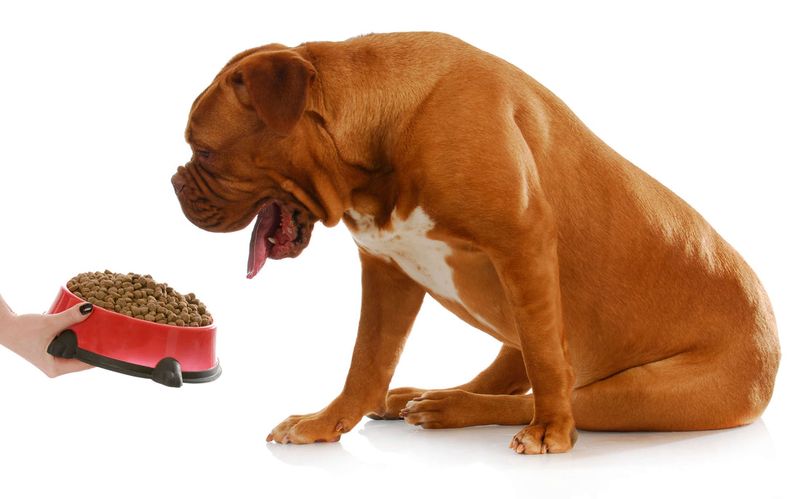 Digestive Problems