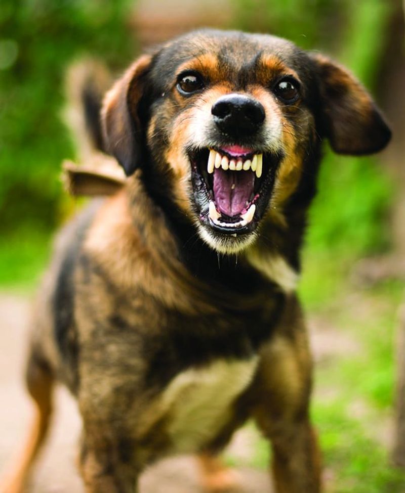 Possibility of Aggression