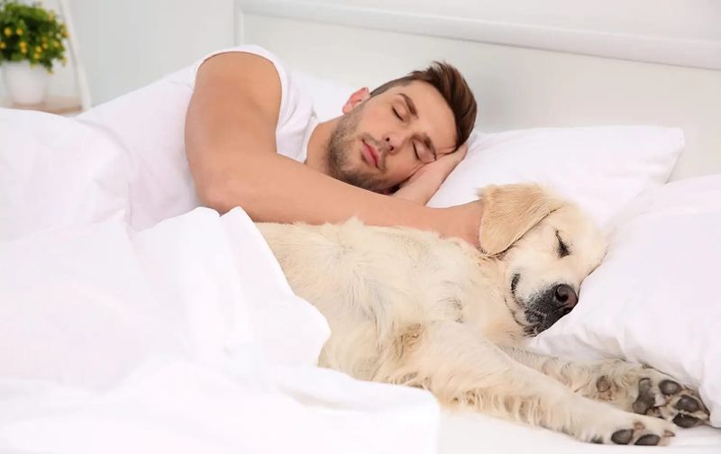 Sleeping in Bed