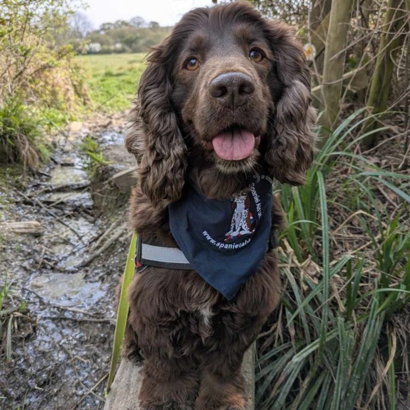 Daisy the Delightful