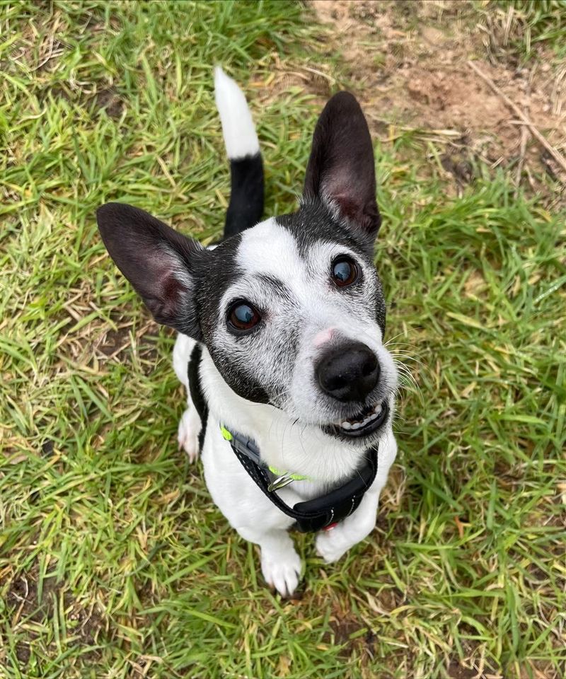 Charlie