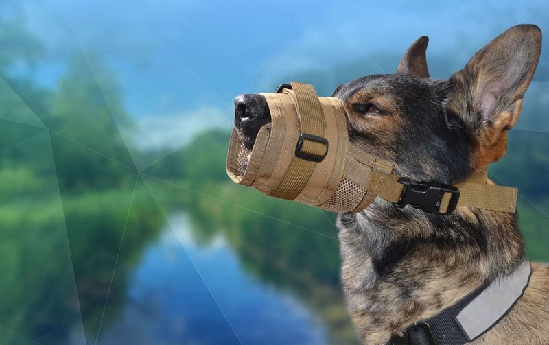 Muzzle or Soft Cloth