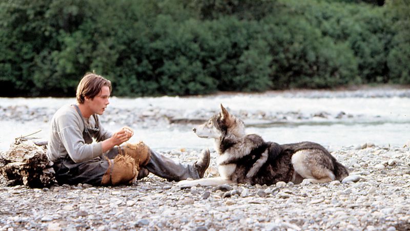 White Fang