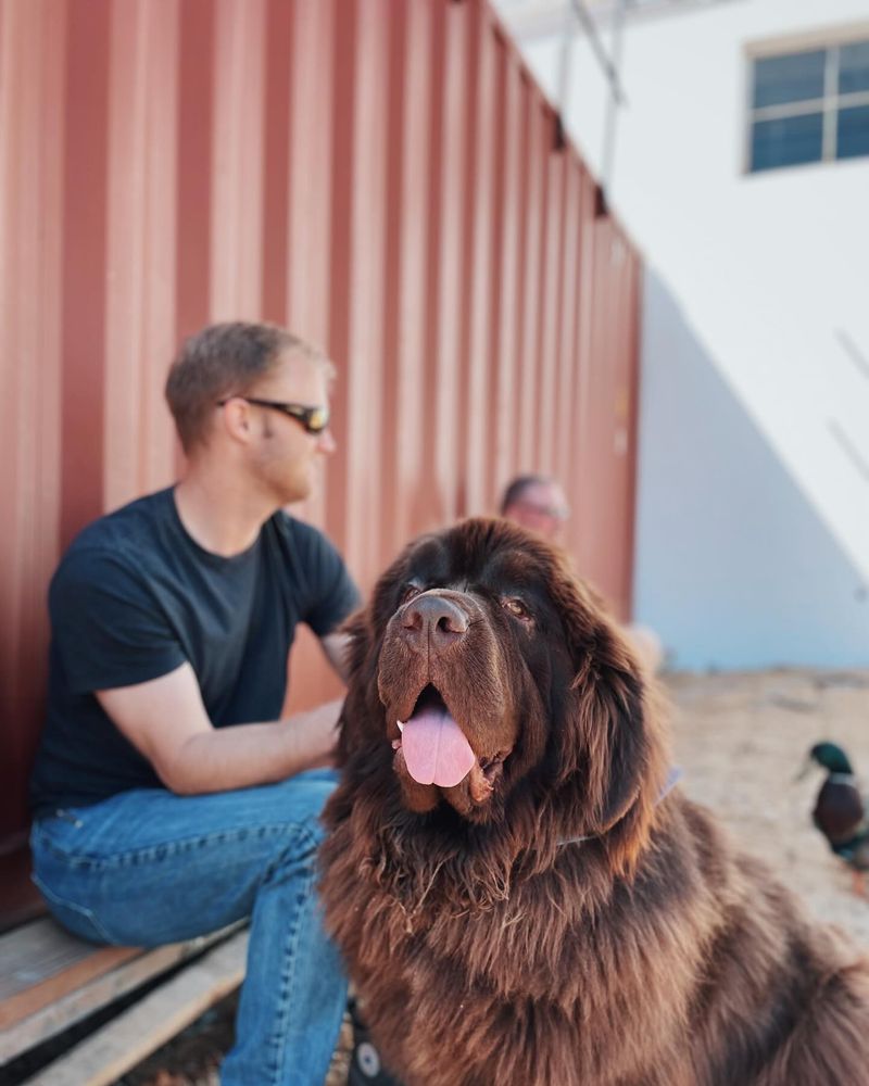Newfoundland