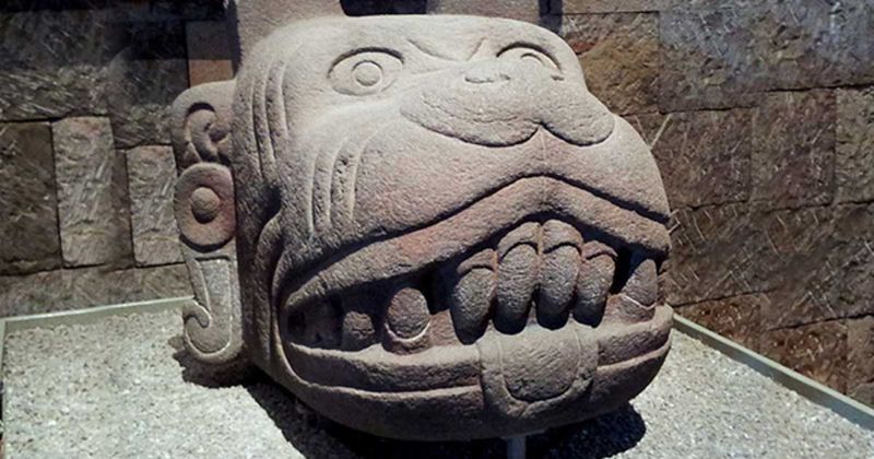 Xolotl