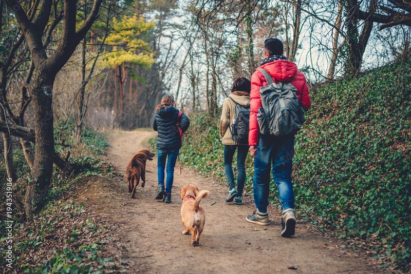 Encourages Outdoor Activity