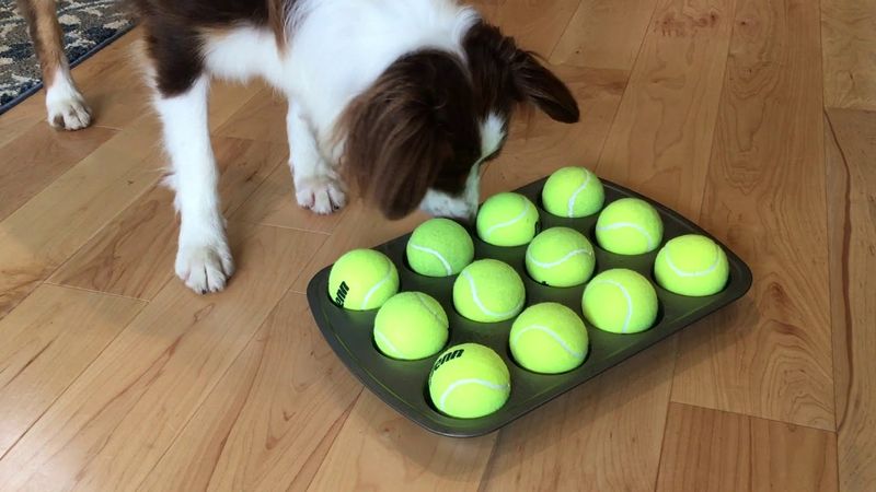 Tennis Ball Puzzle