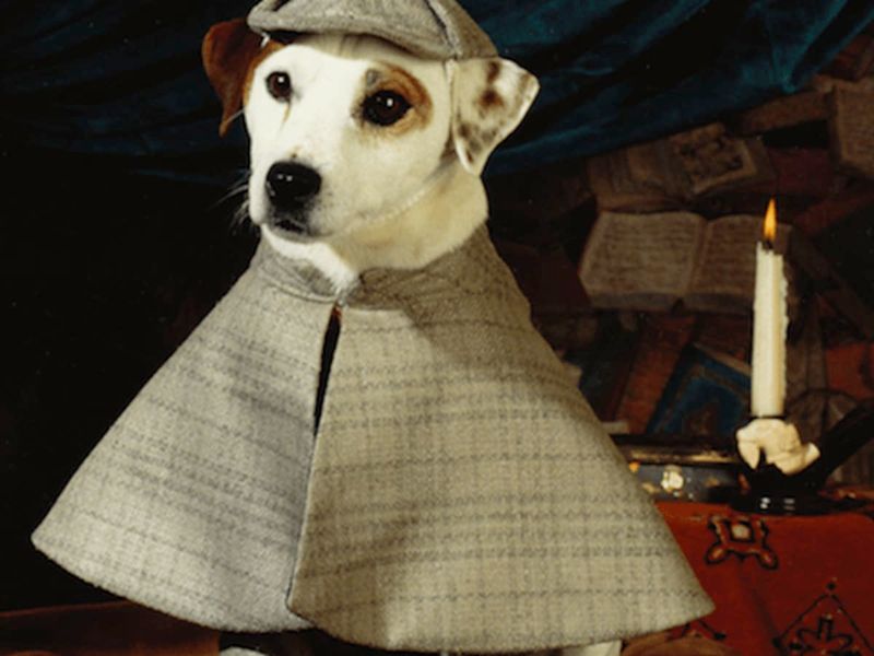 Wishbone from 