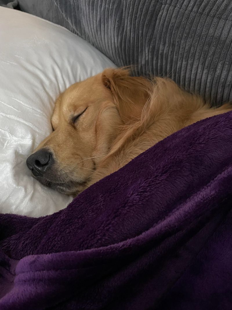 Good Sleep Patterns