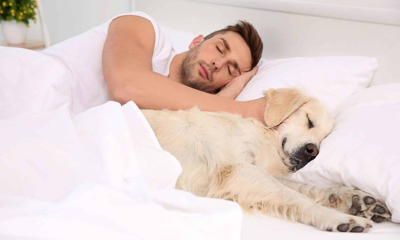 Sleeping Close to You