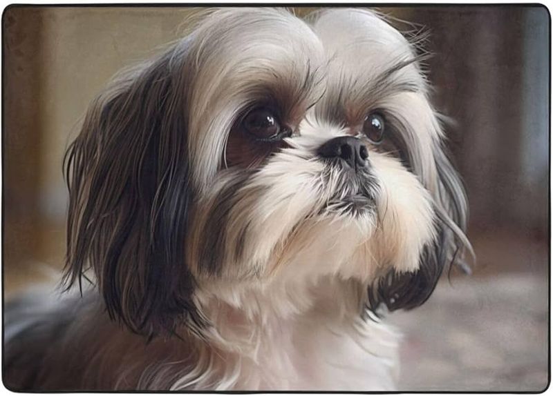 Zoe the Shih Tzu