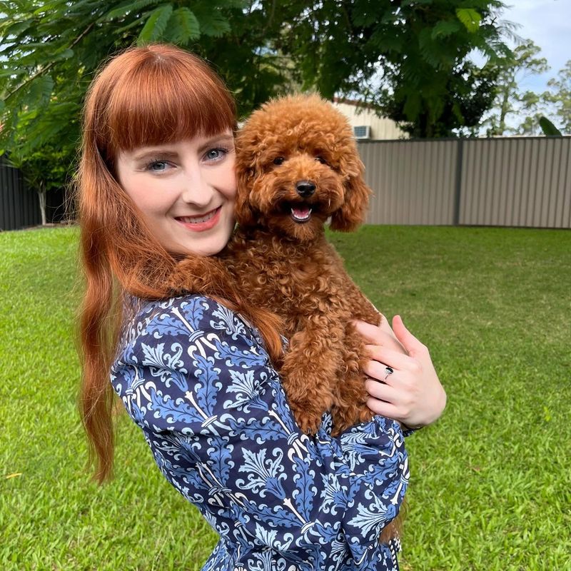 Poodle