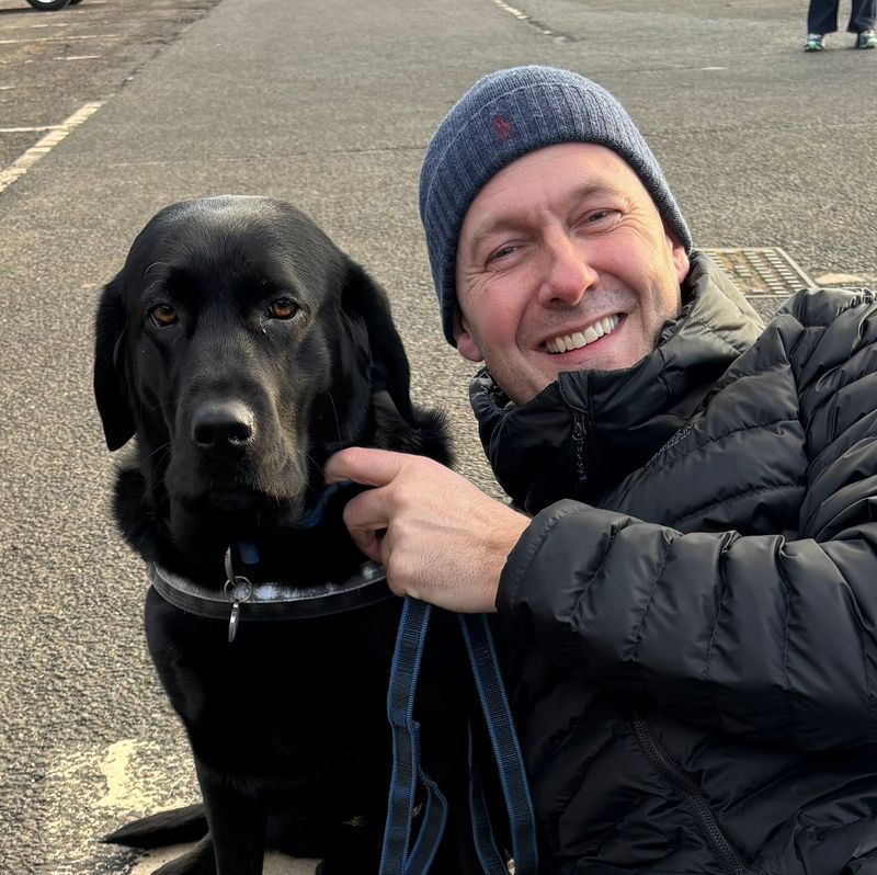 Labrador Retriever