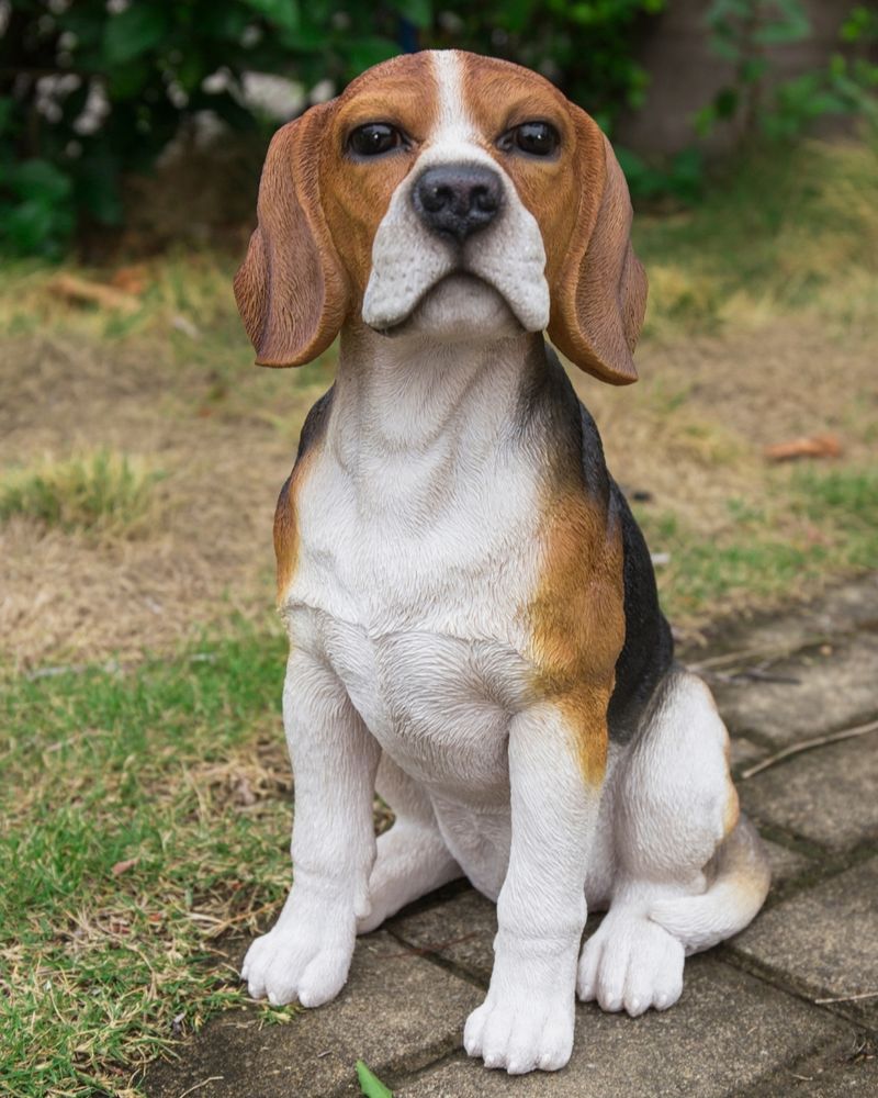 Beagle