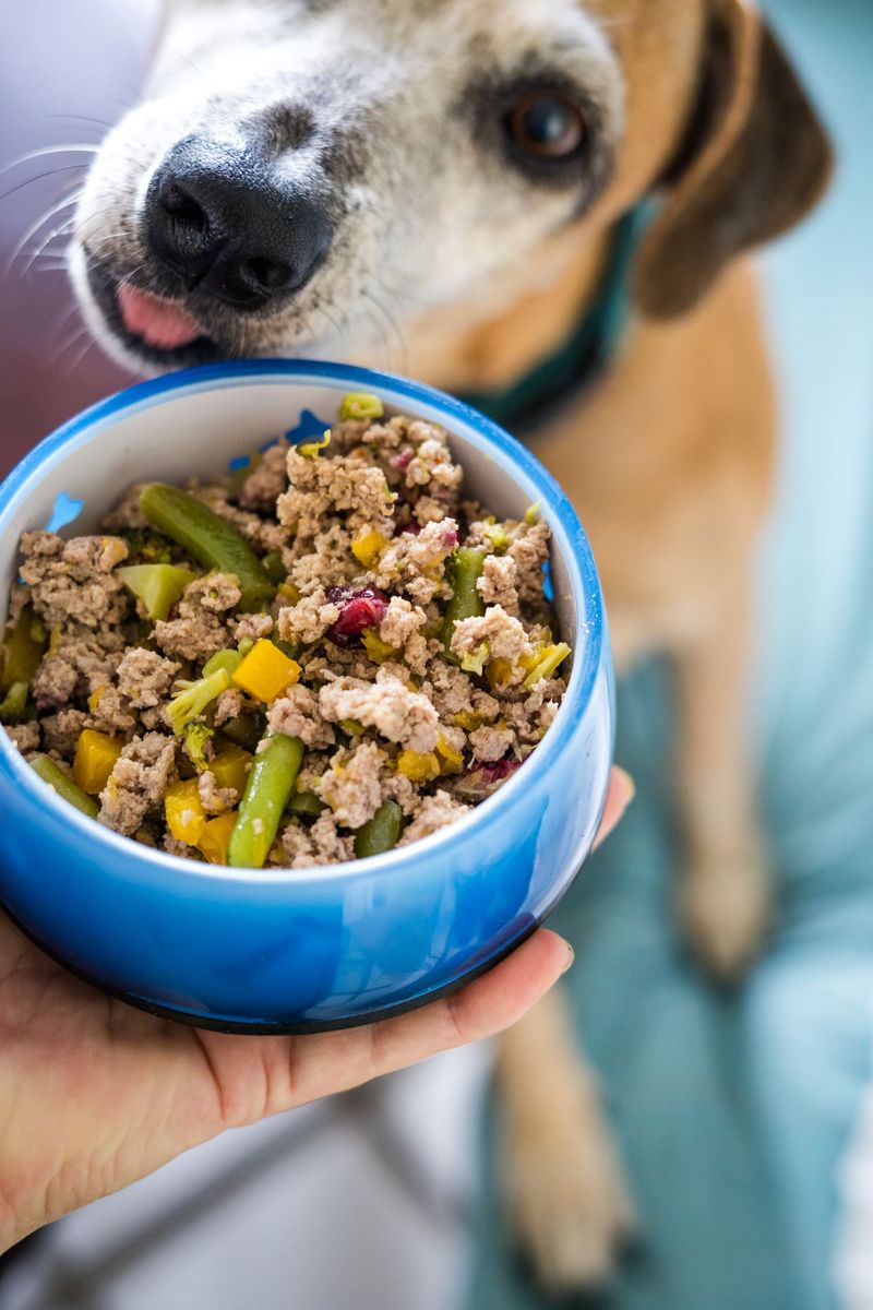Healthy Appetite