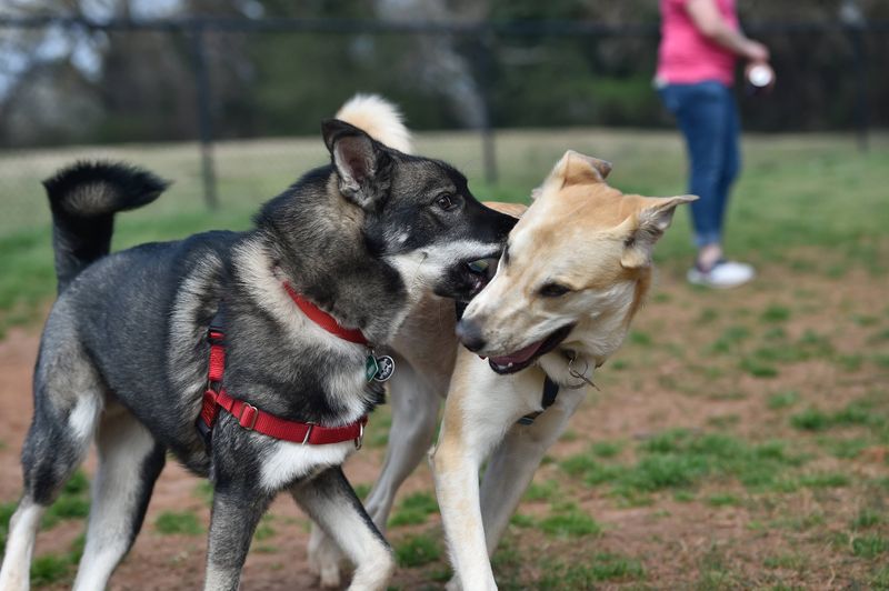 Socialization